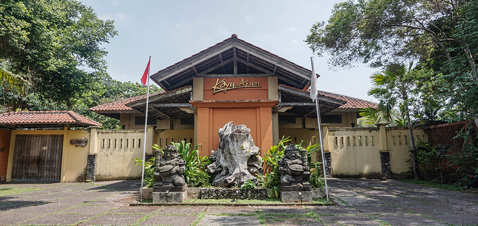 Kayu Arum