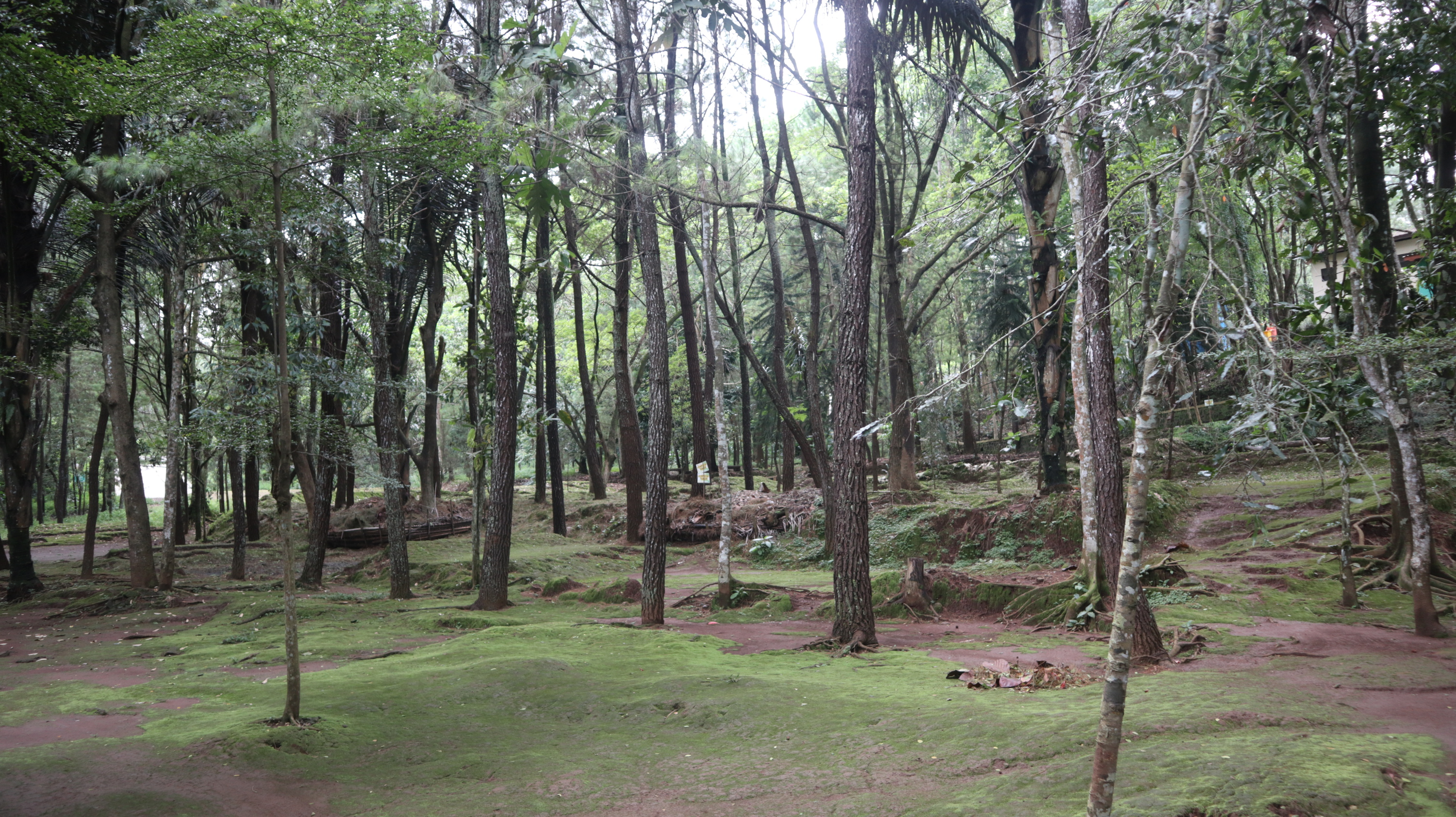 Taman Kota Bendosari