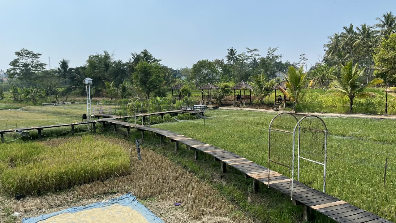 Tapak Hapsari