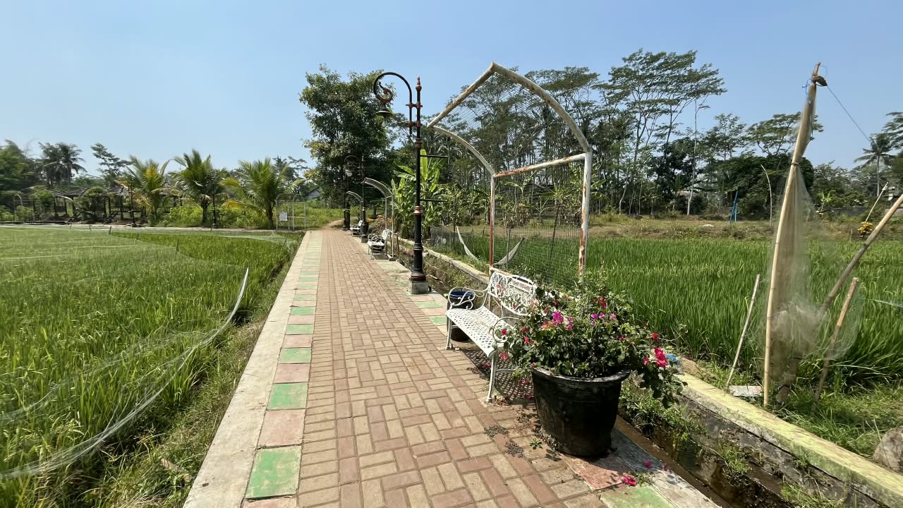 Tapak Hapsari