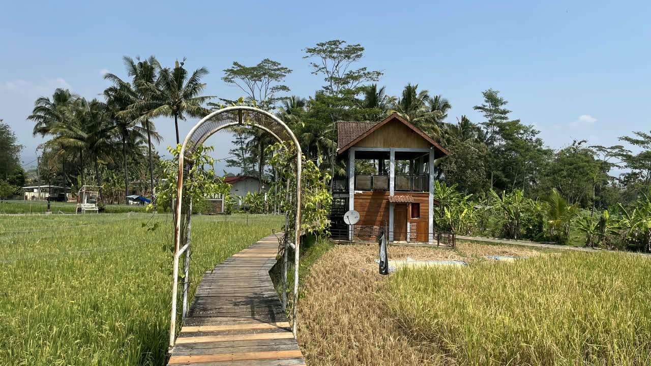 Tapak Hapsari